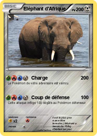 Pokemon Eléphant d'Afrique