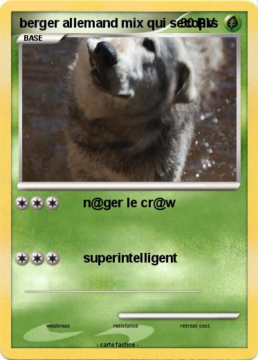 Pokemon berger allemand mix qui secoµrs
