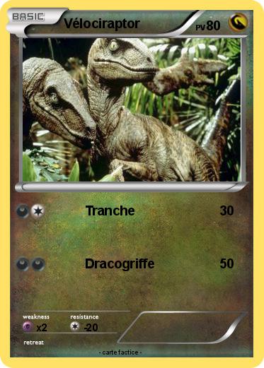 Pokemon Vélociraptor