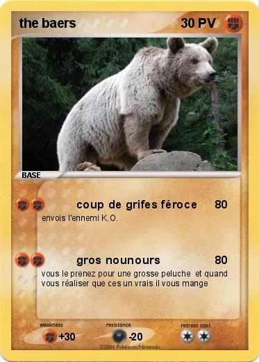 Pokemon the baers