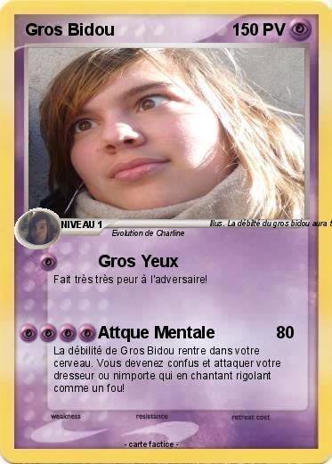 Pokemon Gros Bidou