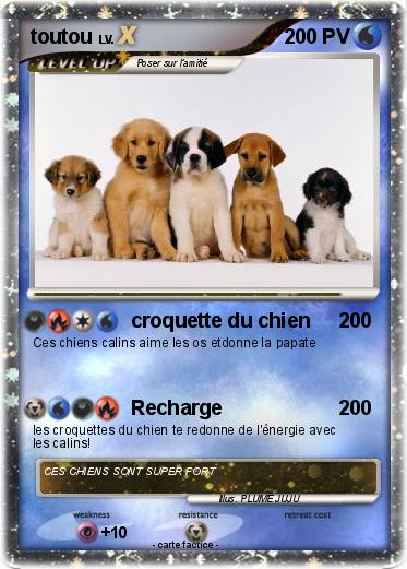 Pokemon toutou