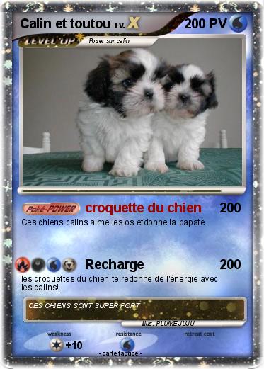 Pokemon Calin et toutou