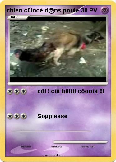 Pokemon chien c0incé d@ns poule