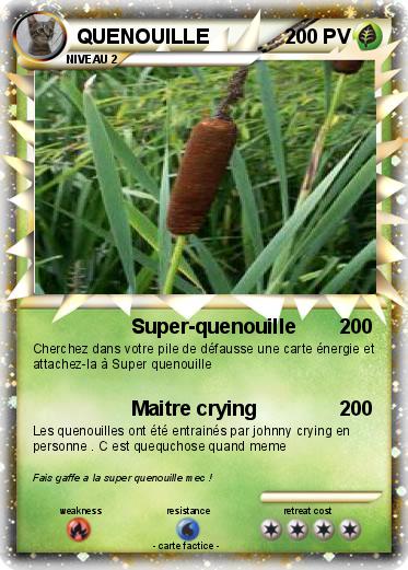 Pokemon QUENOUILLE