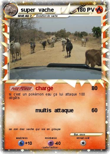 Pokemon super  vache