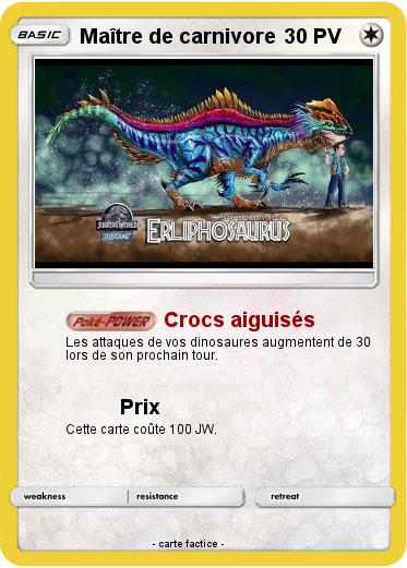 Pokemon Maître de carnivore