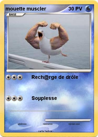 Pokemon mouette muscler