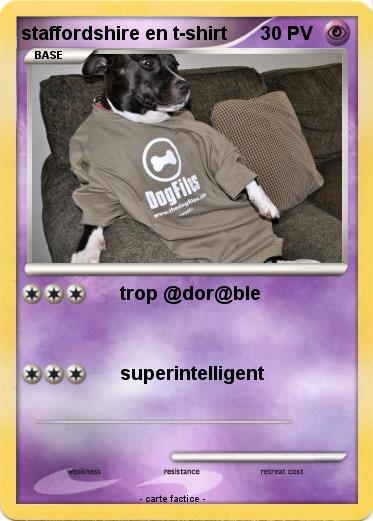 Pokemon staffordshire en t-shirt