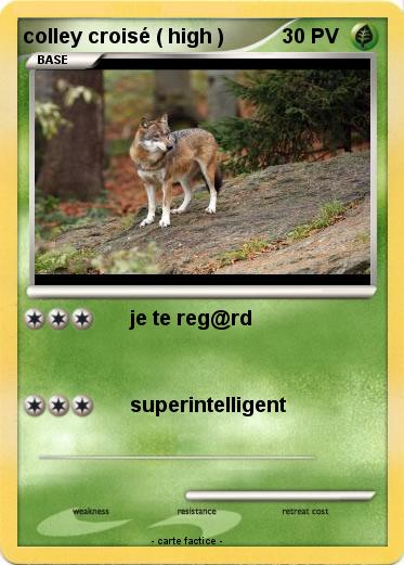 Pokemon colley croisé ( high )