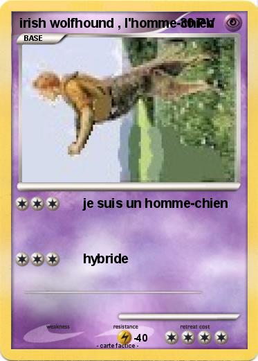 Pokemon irish wolfhound , l'homme-chien