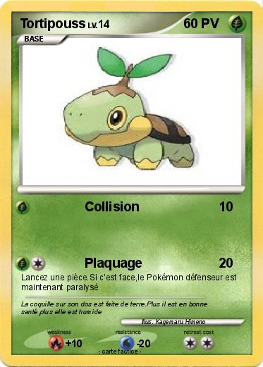 Pokemon Tortipouss