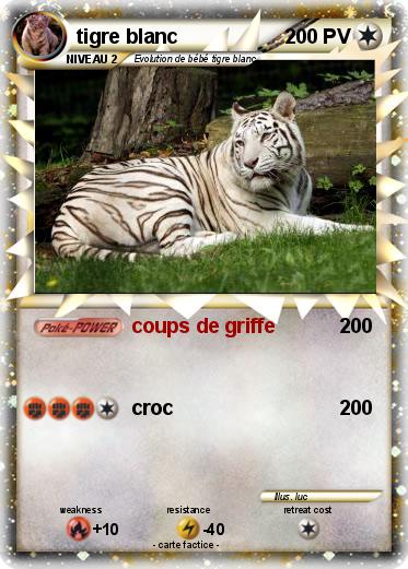 Pokemon tigre blanc
