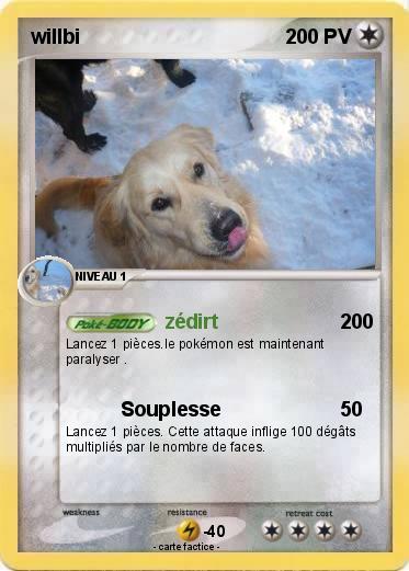 Pokemon willbi