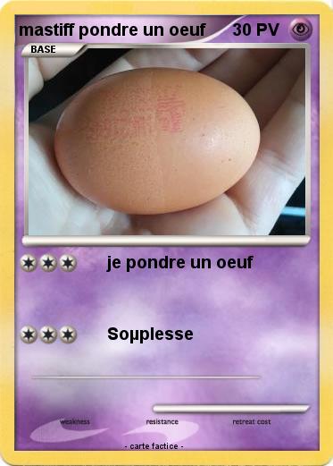 Pokemon mastiff pondre un oeuf