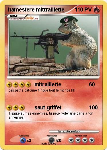 Pokemon hamestere mittraillette