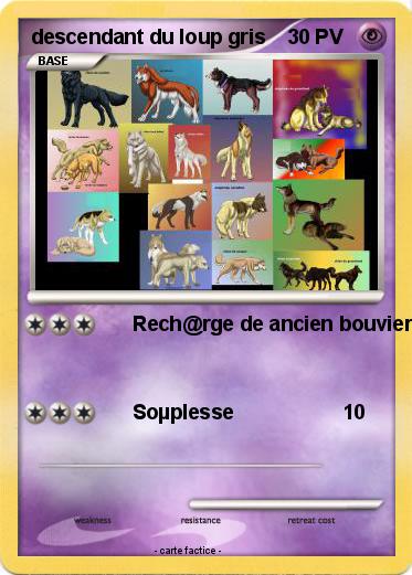 Pokemon descendant du loup gris