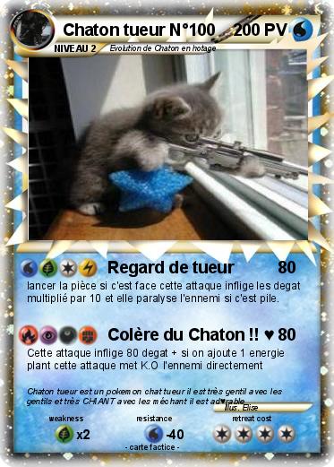Pokemon Chaton tueur N°100