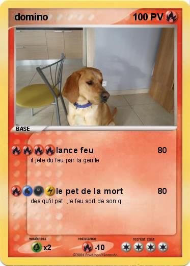 Pokemon domino