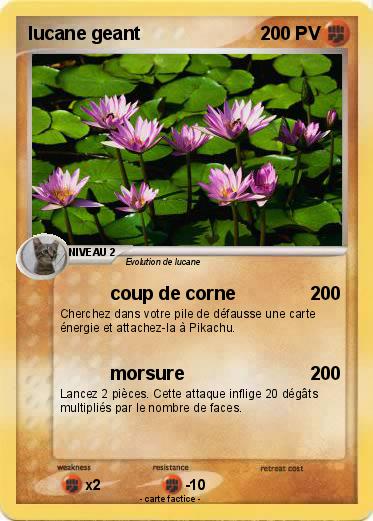 Pokemon lucane geant