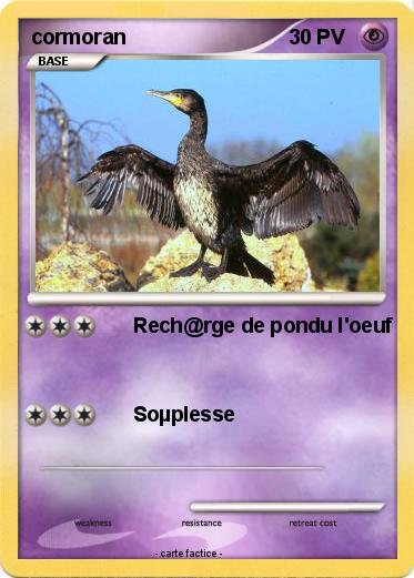 Pokemon cormoran