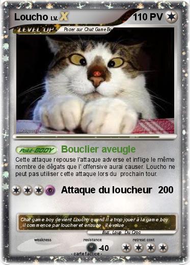 Pokemon Loucho