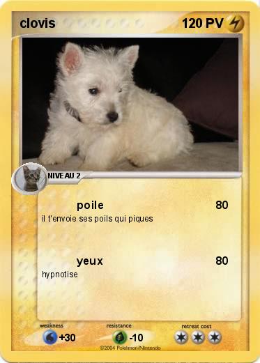 Pokemon clovis