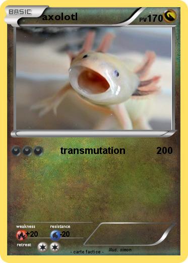 Pokemon axolotl