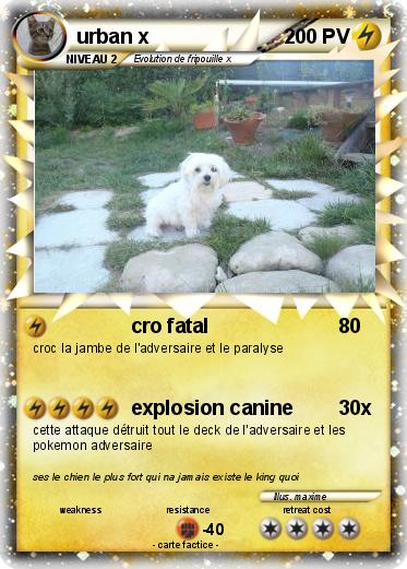 Pokemon urban x