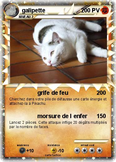 Pokemon galipette