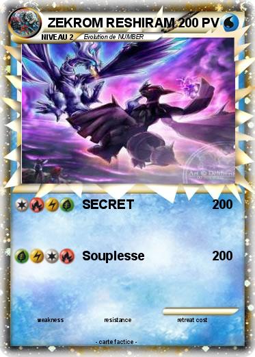 Pokemon ZEKROM RESHIRAM