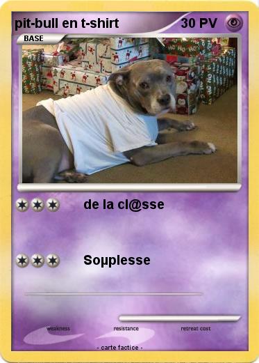 Pokemon pit-bull en t-shirt