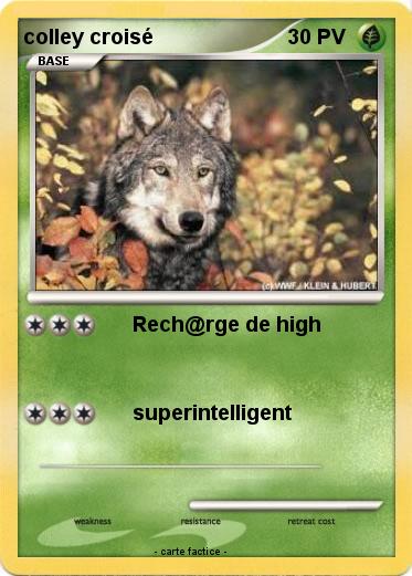 Pokemon colley croisé