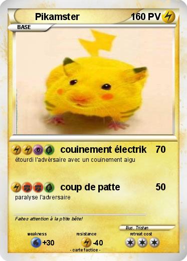 Pokemon Pikamster