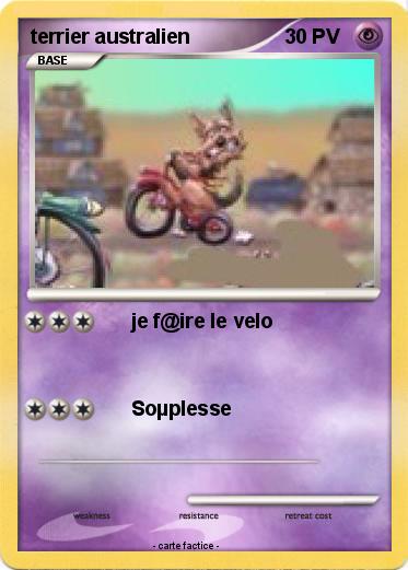 Pokemon terrier australien