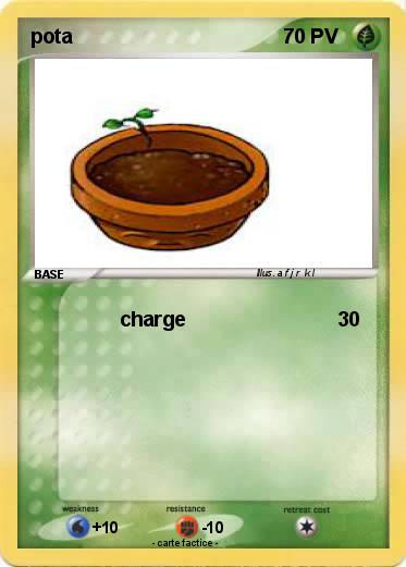 Pokemon pota