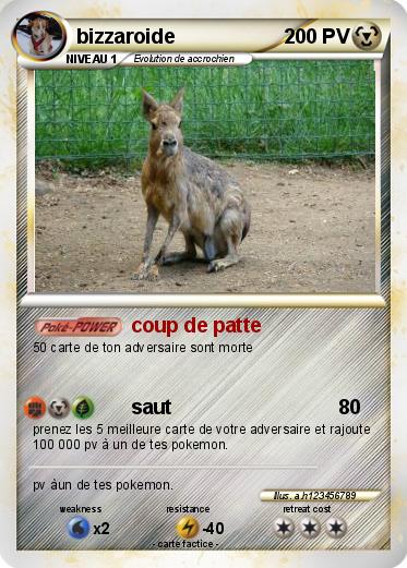 Pokemon bizzaroide