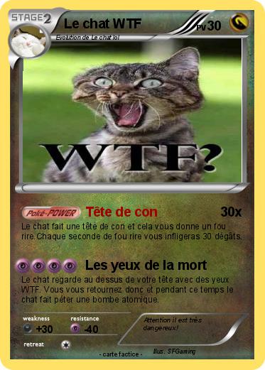 Pokemon Le chat WTF