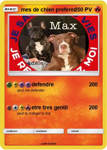 Pokemon mes de chien preferer