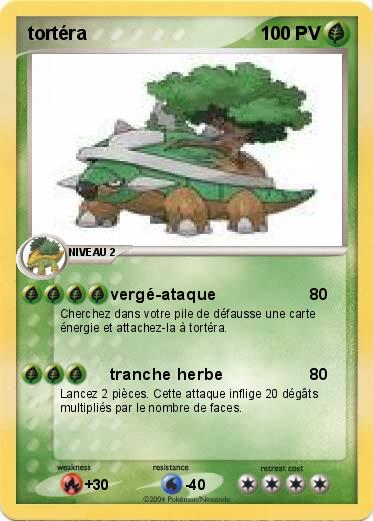 Pokemon tortéra