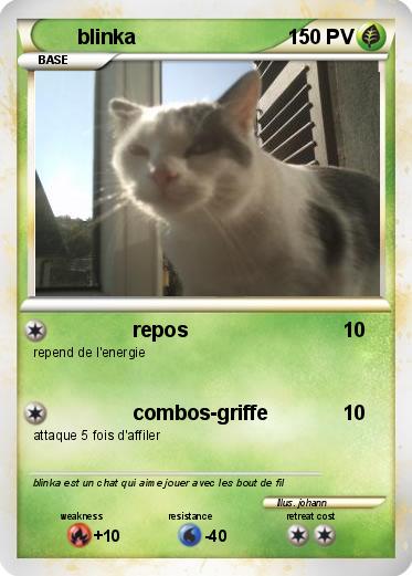 Pokemon blinka