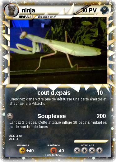 Pokemon ninja