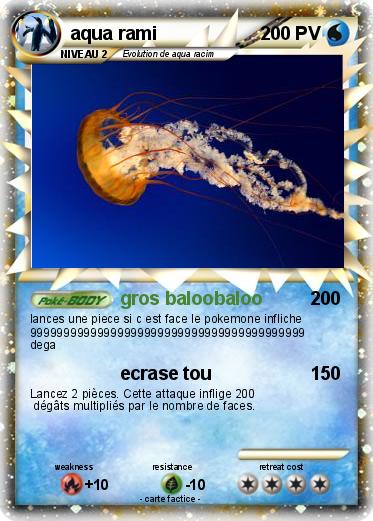 Pokemon aqua rami