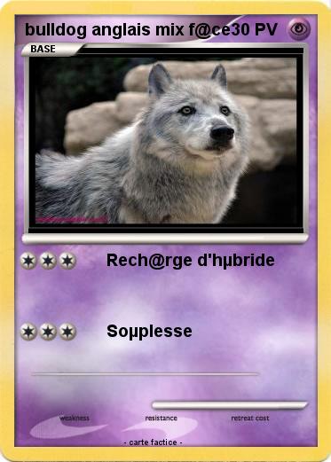 Pokemon bulldog anglais mix f@ce