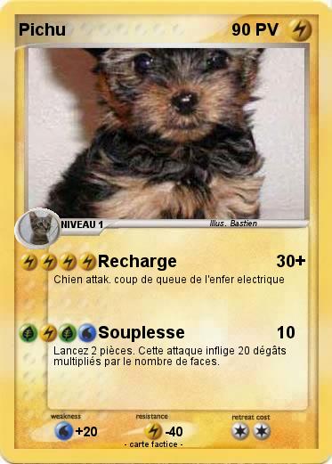 Pokemon Pichu