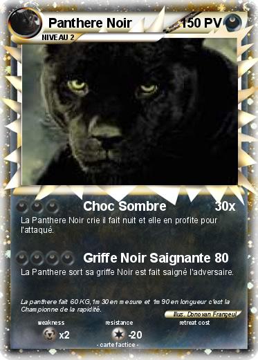 Pokemon Panthere Noir