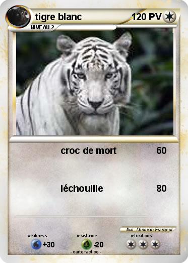 Pokemon tigre blanc