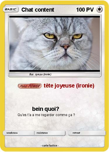 Pokemon Chat content