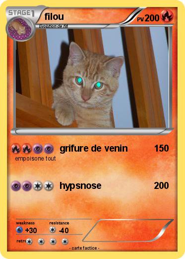 Pokemon filou