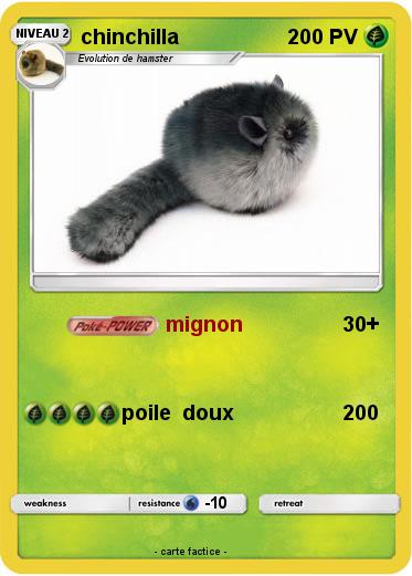 Pokemon chinchilla